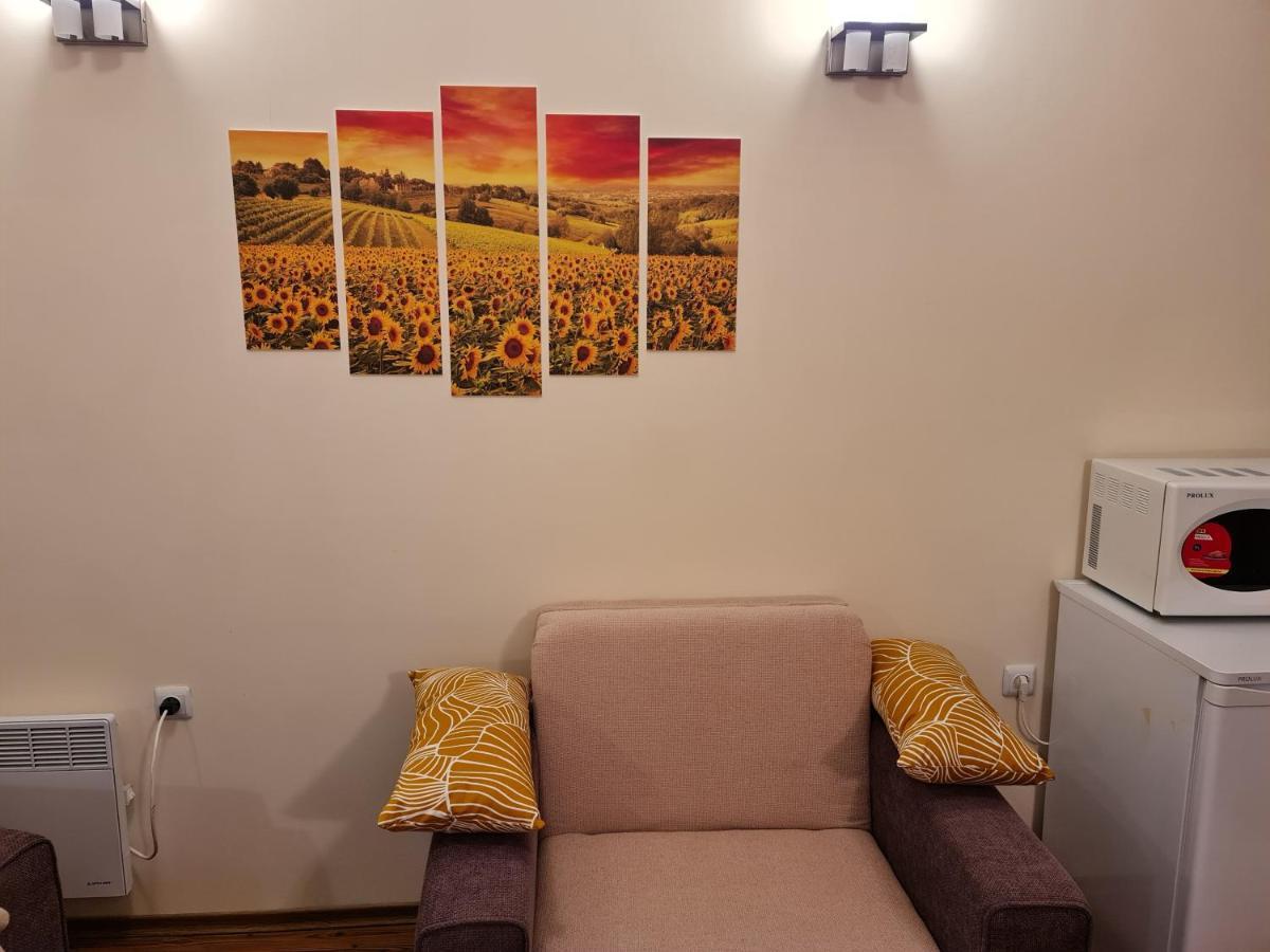 Bansko Vibes Apartments - Vesta Boutique Kültér fotó