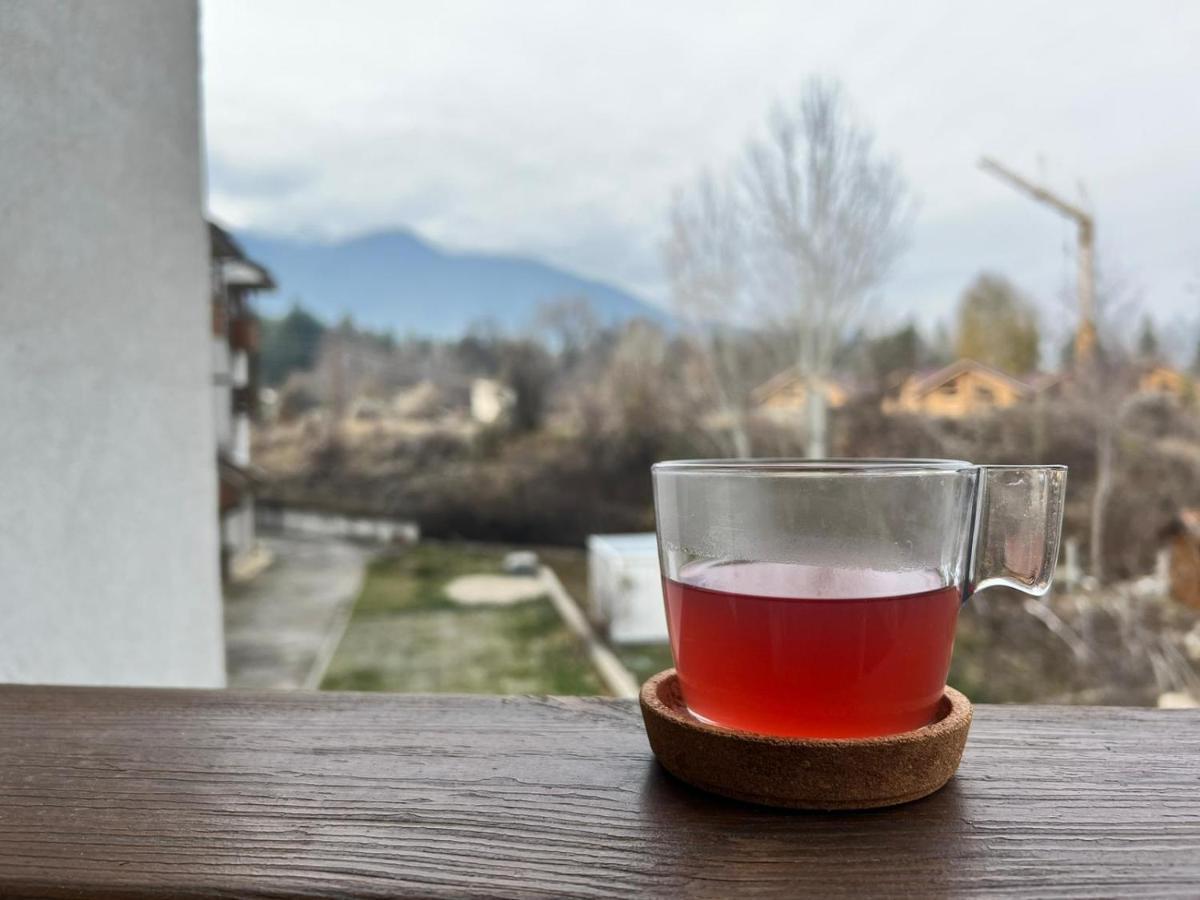Bansko Vibes Apartments - Vesta Boutique Kültér fotó